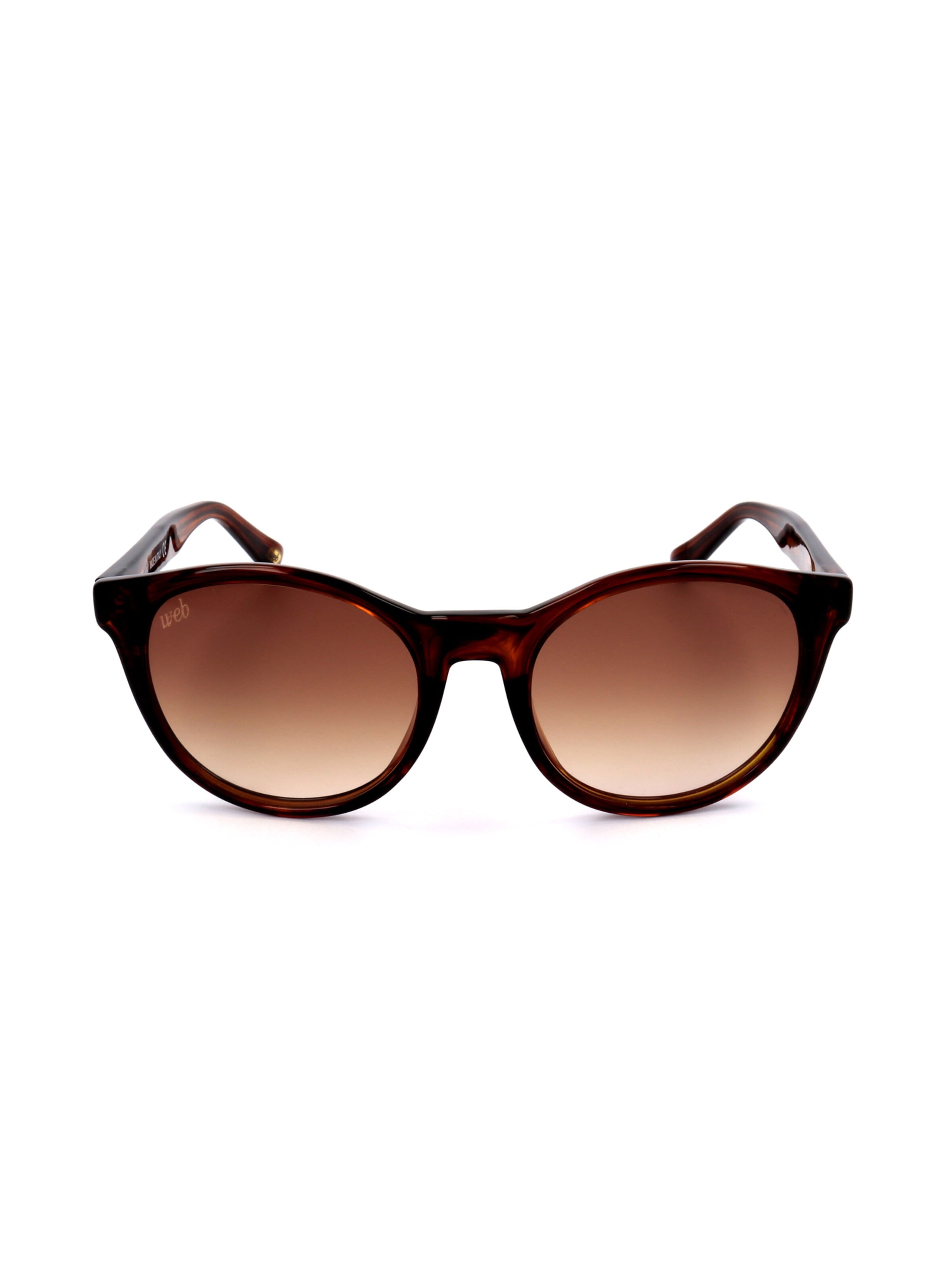 Occhiali da sole 'WE0292' di Web Eyewear in marrone: frontale