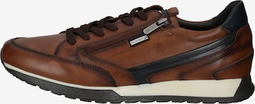 PIKOLINOS Lace-Up Shoes in Brown