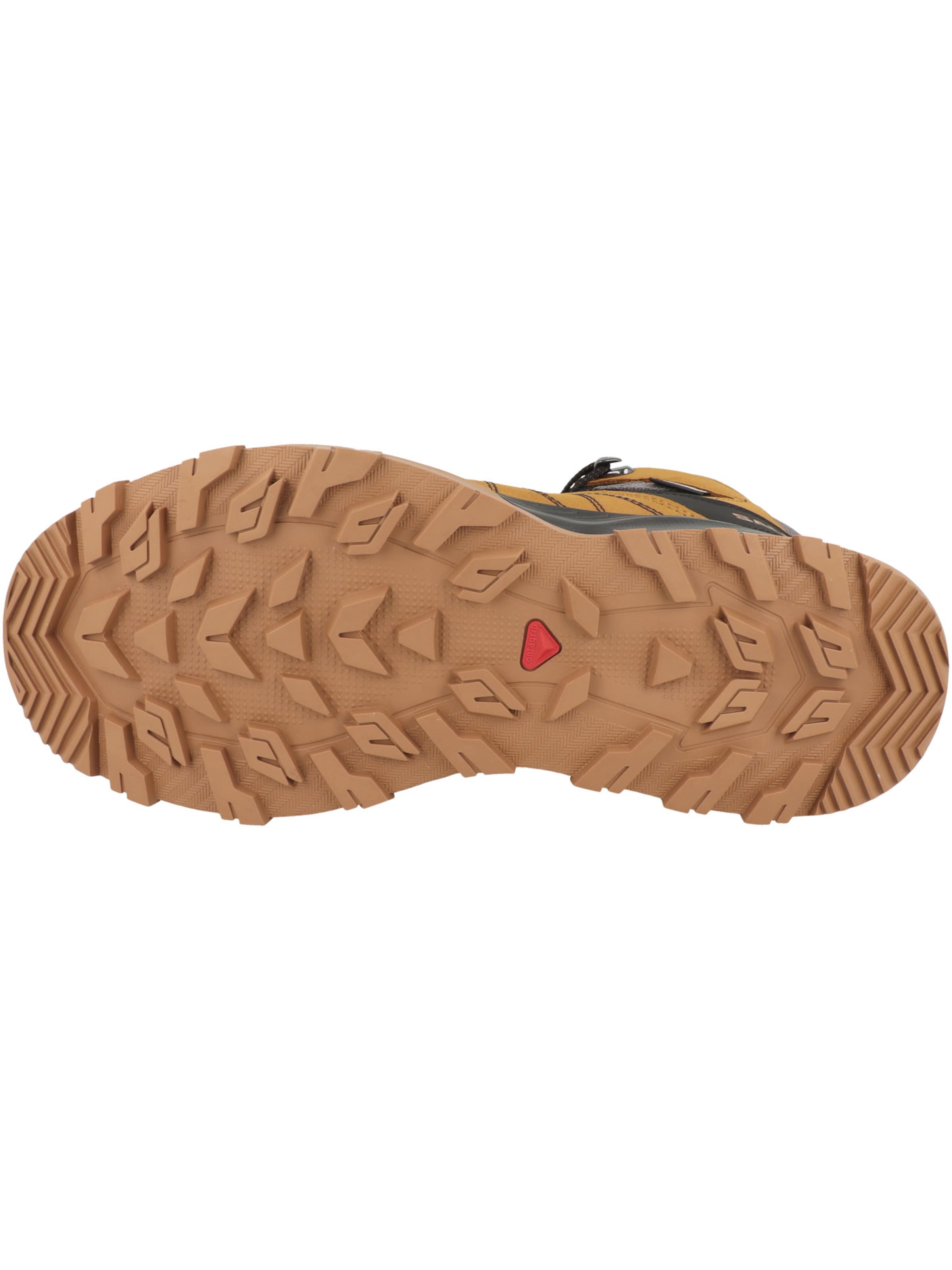 SALOMON Boots 'Outchill TS' in Brown