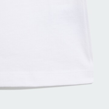 ADIDAS ORIGINALS Shirts '3 STRIPE' i hvid