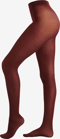 CALZEDONIA Strumpfhosen in Rot: Vorderseite