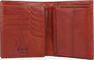 Esquire Wallet 'Toscana Geldbörse' in Brown