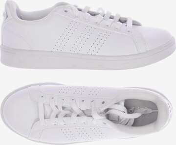 ADIDAS PERFORMANCE Sneakers & Trainers in 40,5 in White: front