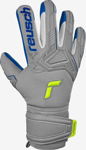 REUSCH Athletic Gloves 'Attrakt Freegel Silver Finger Support' in Grey