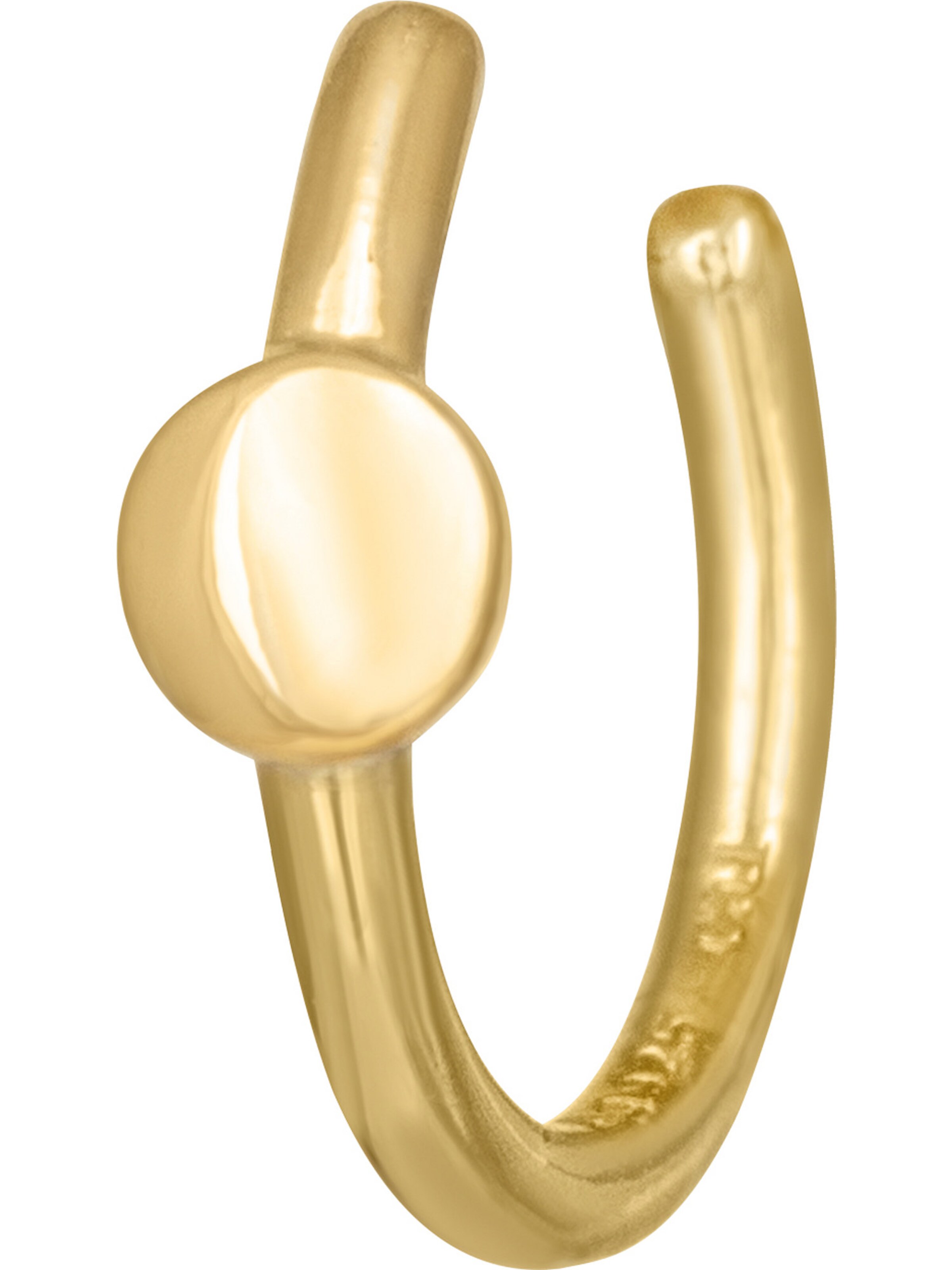 caï Earrings in Gold: front