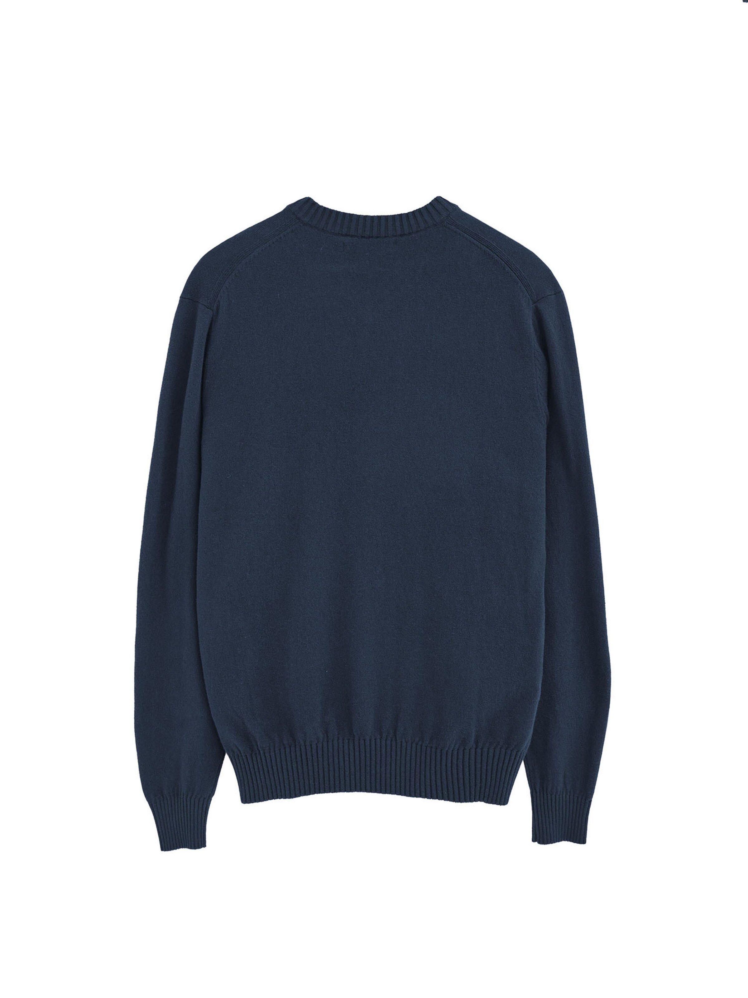 Polo Club Pullover in Blau