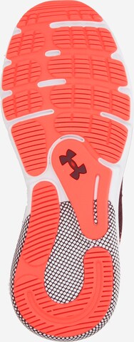 Chaussure de course 'Turbulence 2' UNDER ARMOUR en rouge