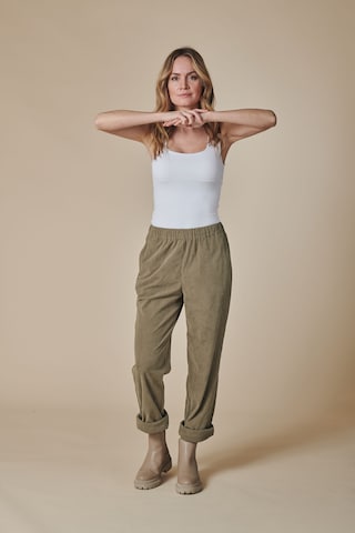 Zhrill Regular Pants in Brown