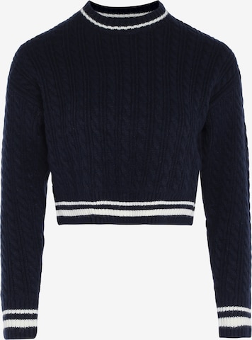 bridgeport Sweater in Blue: front