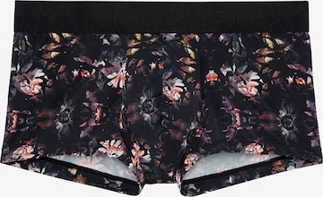 HOM Boxershorts 'Sebastian' in Zwart: voorkant