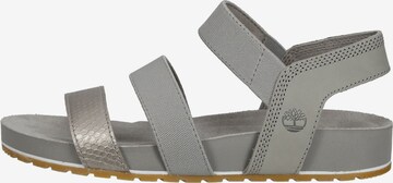 TIMBERLAND Sandals in Grey