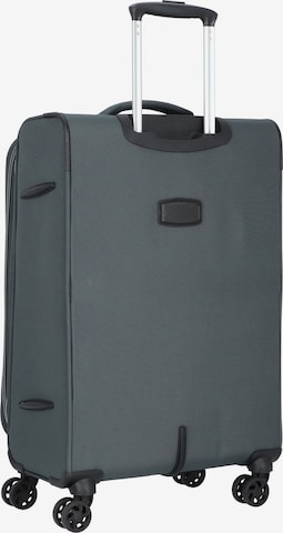 D&N Suitcase Set in Grey