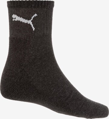 Chaussettes PUMA en gris