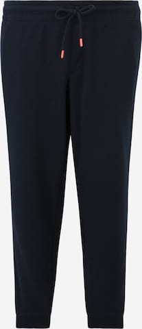 Jack & Jones Plus Tapered Pants in Blue: front