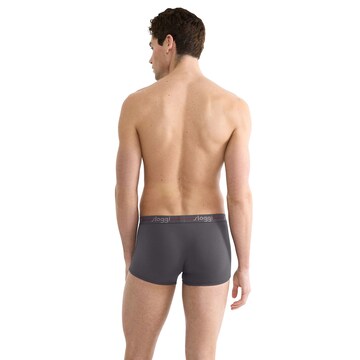 SLOGGI Boxer shorts in Grey
