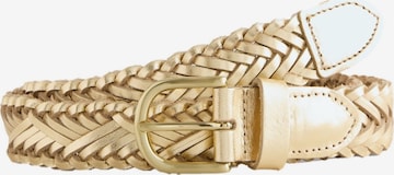 Next Vyö värissä kulta: etupuoli