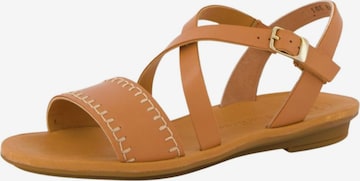 Sandalo con cinturino di Paul Green in marrone: frontale