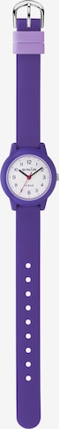 SINAR Analog Watch in Purple
