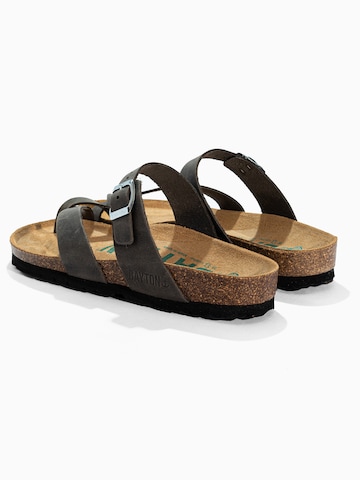 Bayton Varbavaheplätu 'DIANE', värv hall