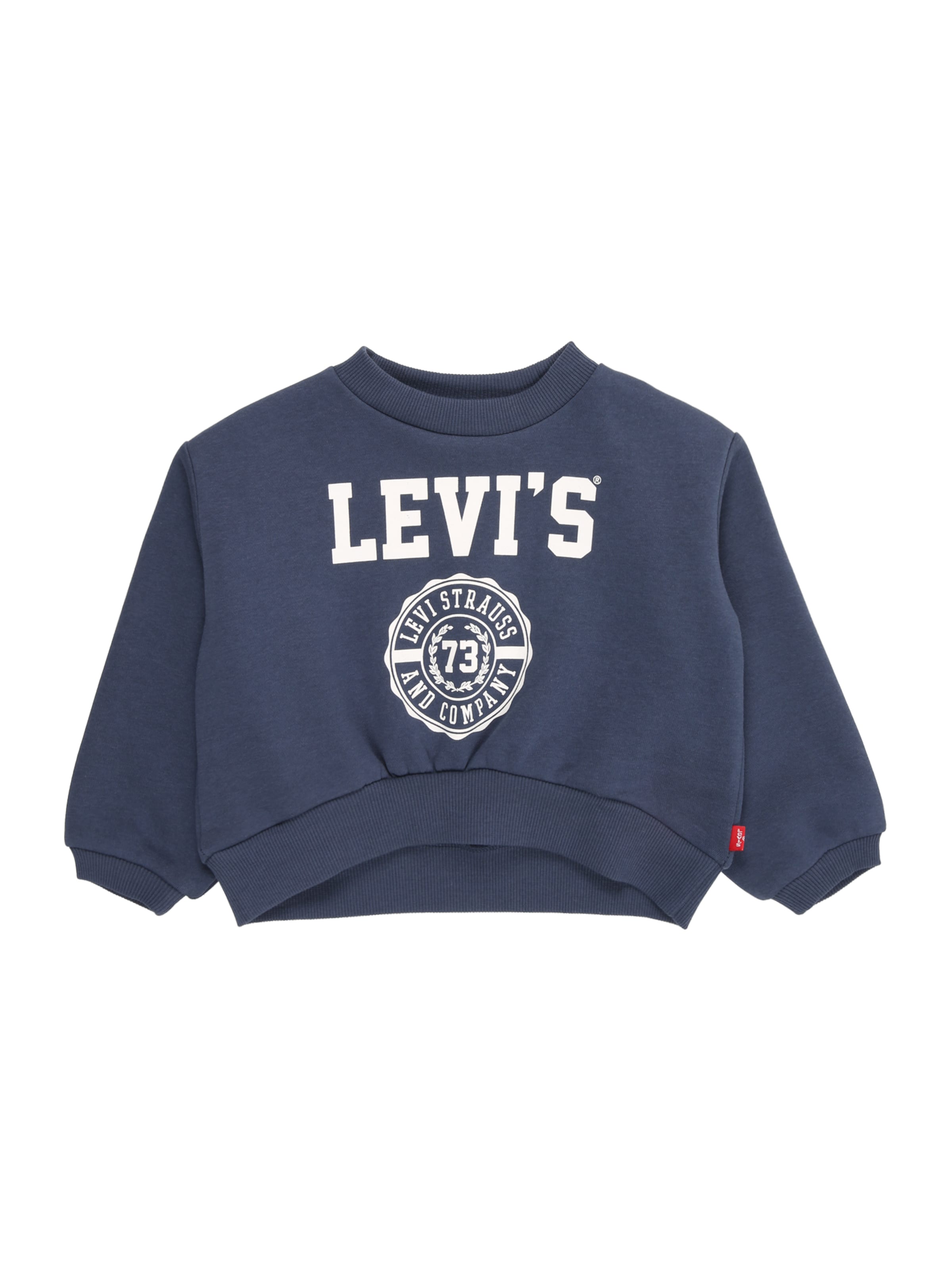 Felpa 'COLLEGIATE' di Levi's Kids in blu: frontale