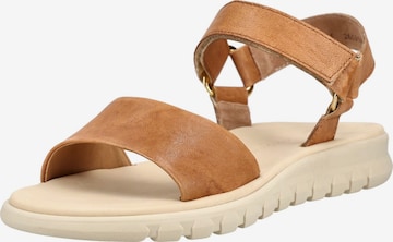 Sandales à lanières Paul Green en marron : devant