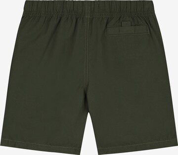 Shiwi Badeshorts 'Mike' in Grün