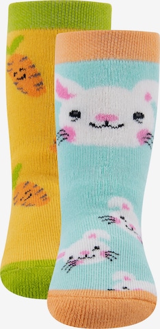 oranžinė EWERS Kojinės: priekis