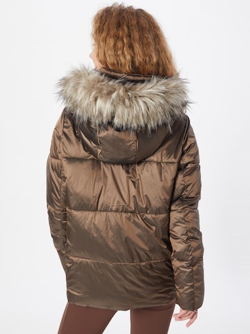 Soccx Winter Jacket in Brown