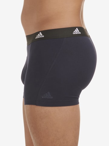 ADIDAS SPORTSWEAR Sports underpants in Black