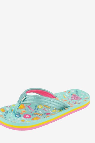 REEF Beach & Pool Shoes 'Ahi ' in Green