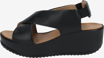 IGI&CO Sandals in Black