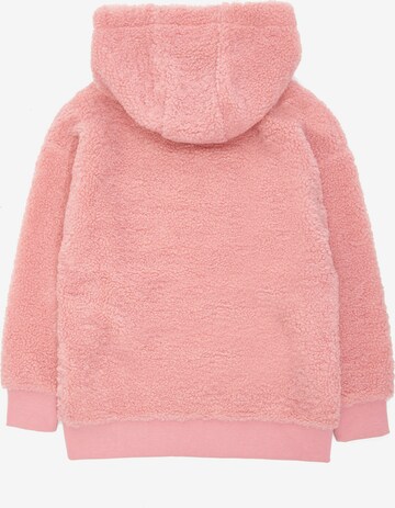 Threadgirls Sweater 'Nina' in Pink