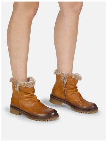 FELMINI Stiefelette 'Caster E324' in Braun: Vorderseite