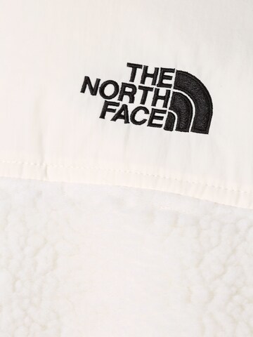 THE NORTH FACE Sweatshirt in Beige