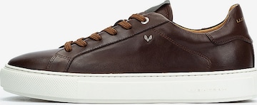 Baskets basses 'Hastings' Martinelli en marron : devant