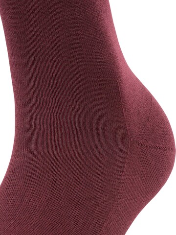 FALKE Knee High Socks 'Family' in Red