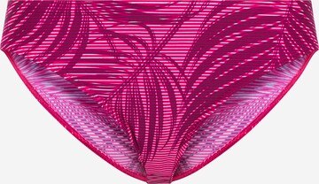 Bas de bikini sport LASCANA ACTIVE en rose : devant