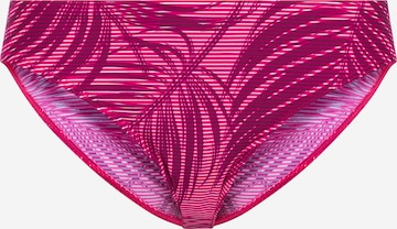 LASCANA ACTIVE Športne bikini hlačke | roza barva: sprednja stran