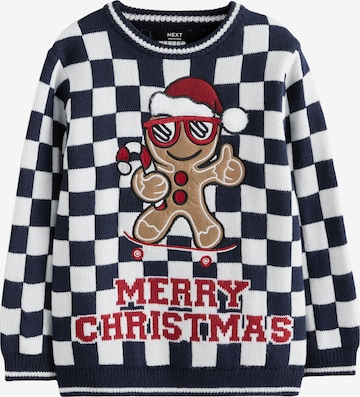 mėlyna Next Megztinis: priekis