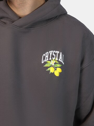 Crystal Paris Sweatshirt 'Polo Club' in Grey