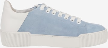 Högl Sneaker in Blau