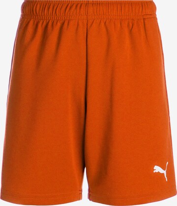 PUMA Workout Pants 'TeamRise' in Orange: front