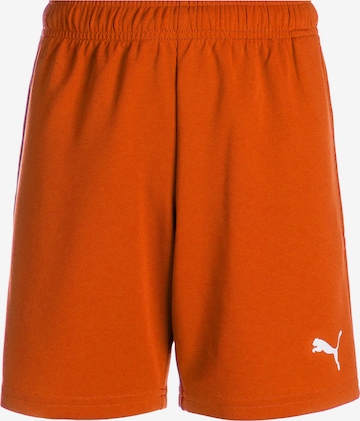 Pantaloni sportivi 'TeamRise' di PUMA in arancione: frontale