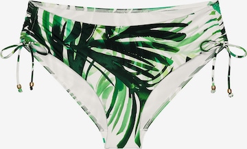 Bas de bikini ' Red Label Summer Palm ' TRIUMPH en vert : devant