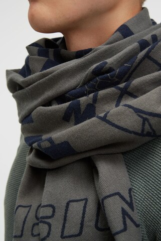 CAMP DAVID Scarf in Green