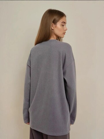Hiccup - Sweatshirt em cinzento