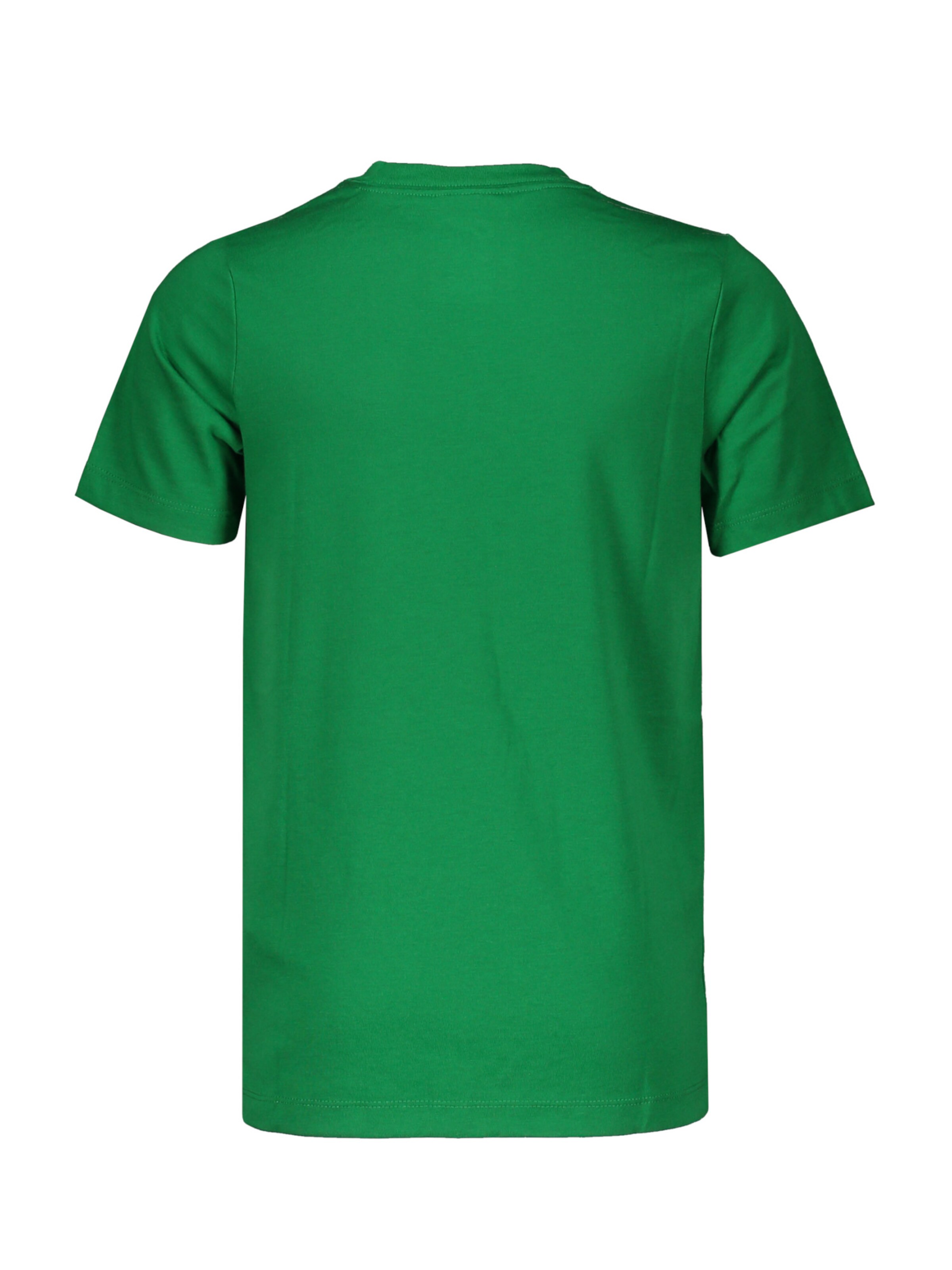 NIKE Performance Shirt 'Park 20' in Green