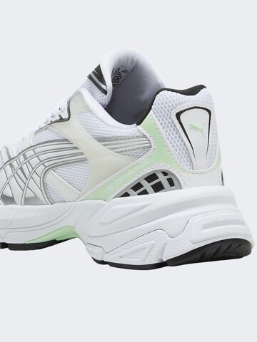 Baskets basses 'Velophasis Olways On' PUMA en blanc