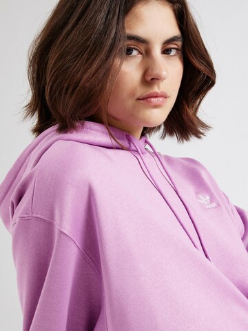 ADIDAS ORIGINALS Sweatshirt 'TREFOIL' in Purple