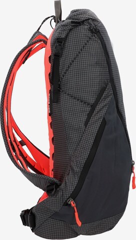 Sac à dos de sport 'Pedroc Pro' SALEWA en gris